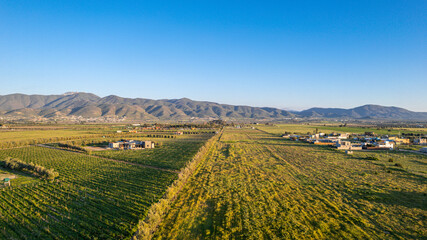 Valle de Guadalupe Wine Country Baja California Norte, Mexico