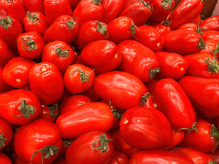 Fresh, ripe elongated tomato Torino,  available on the grocery store shelf