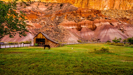 Barn and a Horse in a meadow surrounded by red sandstone mountains in the Fruita settlement in Capitol Reef National Park, Utah, USA