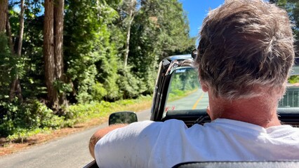 a man driving a convertible rides in the forest on the road he has gray hair he is 60 years old...