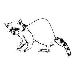 Abstract, minimalistic sketch of a raccoon with simple lines. Ideal design for the cover of a book or magazine about animals. Line drawing, line art. Vector illustration