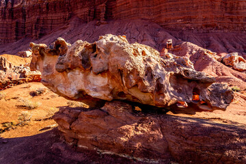 One of the many weird rocks in Capitol Gorge in Capitol Reef National Park, Utah, USA