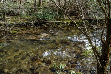 deep creek smoky mountain national park bryson city nc