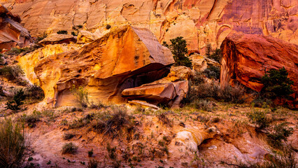One of the many weird rocks in Capitol Gorge in Capitol Reef National Park, Utah, USA