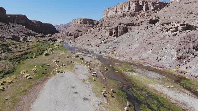 Badakhshan region of Afghanistan. Pyanj river and Pamir mountains. Pyanj is the headwaters of the Amu Darya River. Aerial view of a mountain landscape, sheep, and goats at the mouth of the river.