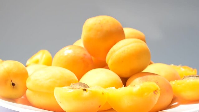 Apricots on a plate. Filming of fruit.