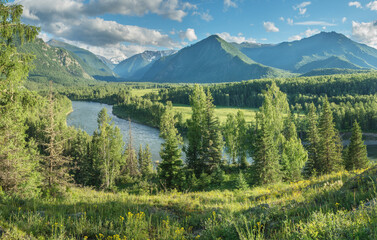 Picturesque mountain valley on a sunny summer day, wild river - obrazy, fototapety, plakaty