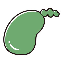 シンプルな胆のうのイラスト