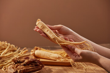 Image of female hand holding ginseng root on brown background with other herbs. Ginseng has been used in traditional medicine has effects: strengthens the immune system, improves brain function