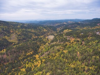 Fototapeta na wymiar Landscape with Yellow Leaves in Colorado