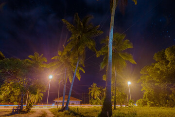 Beautiful coconut trees scenery during night at Kampung Jambu Bongkok, Marang, Terengganu, Malaysia