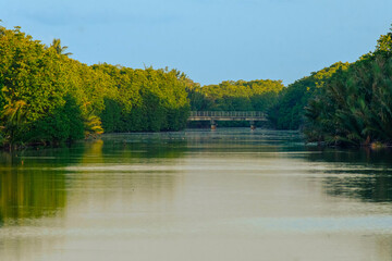 River and swamp scenery at Pulau Kerengga, Marang, Terengganu, Malaysia