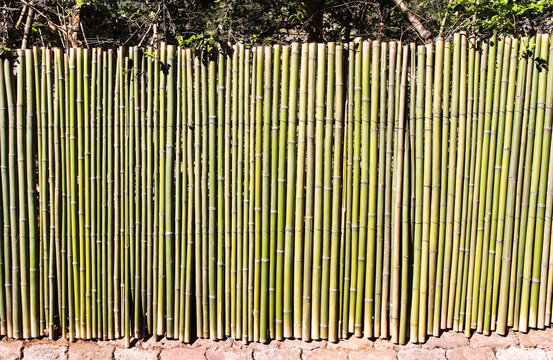 Fence wall made from green bamboo wood in vertical seamless patterns background