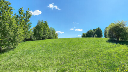 summer landscape with green trees on the hill on blue sky background. panoramic view.