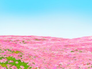 Obraz premium 芝桜と青空が綺麗な春の背景イラスト