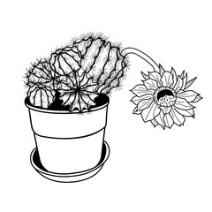 A hand-drawn illustration of a cactus. Isolated design element. An image of a blooming cactus in the doodle style. Vector illustration of succulents.