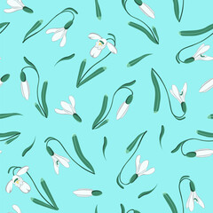 Vector seamless image of snowdrops. A color pattern with the first spring flowers. Delicate snowdrop flowers for your design hand-drawn. Floral print for spring design.