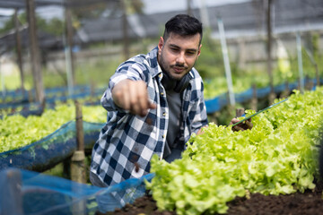 A worker on a vegetable farm examines soil conditions and crop growth to determine the best type and amount of crop to plant. A small business owner's daily planning and organizing routine
