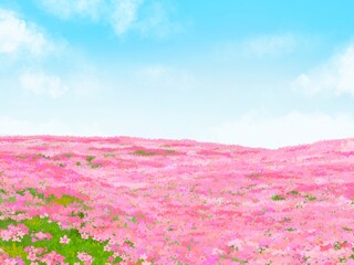 Obraz premium 芝桜と雲の浮かぶ青空が綺麗な春の背景イラスト