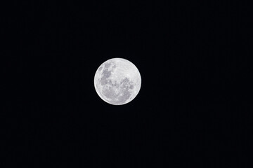 Obraz premium full moon in the night sky