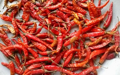 red hot chili peppers