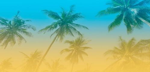 Fototapeta na wymiar The holiday of Summer with colorful theme as palm trees background as texture frame background