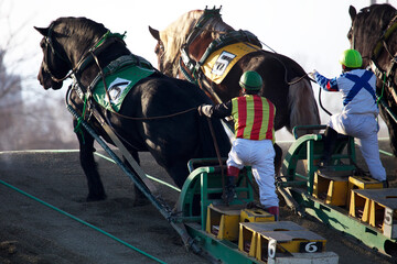 ばんえい競馬（帯広市）