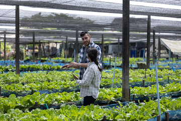Two vegetable farm workers create harvesting tools and herbicides to prevent crop damage. By...
