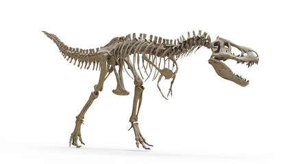 Fototapeta na wymiar Tyrannosaurus Rex skeleton on isolated. Png transparency