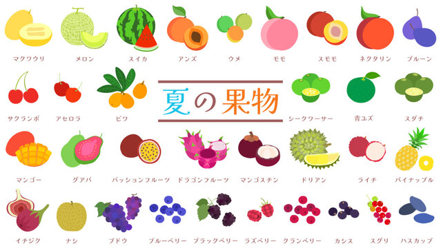 「夏の果物」の写真素材 | 278,670件の無料イラスト画像 | Adobe Stock