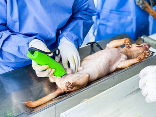Esterilización