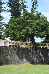 Fototapeta na wymiar Vertical shot of the wall with a wooden fence around a Buddhist monastery in Taiwan