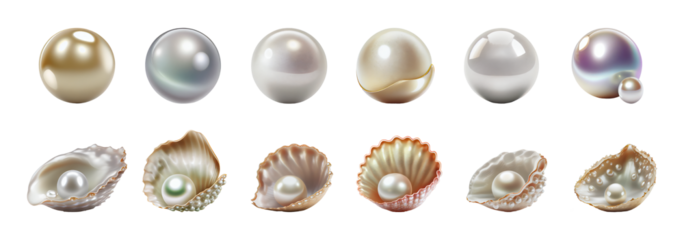 Pearls and seashells collection. summer and vacation elements. Isolated on the transparent background.