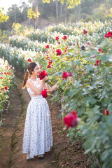 Young Asian woman wearing a white dress poses with a rose in rose garden, Chiang Mai Thailand