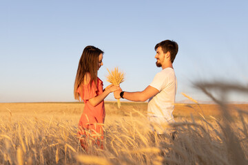 Young couple in the wheat field, The woman is grabbing bouquet of dry wheat. Summer time