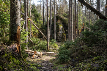 Landschaft bei Hinterhermsdorf, Sächsische Schweiz 2