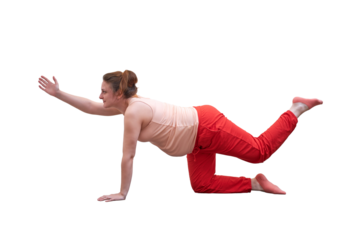 Pregnant woman does yoga at home and does exercises in the bird dog pose, isolated on a white background