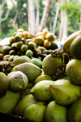 Kokosnuss Kokosnussmilch Strohhalm 