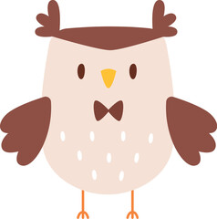 Cute owl bird