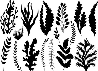 set of seaweed silhouette isolated vector