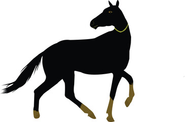 horse illustration