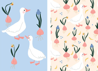 Spring set of illustration and pattern with flowers daffodils, muscari and white geese. Easter cute prints. Two illustrations of ducks and flowers on a blue and pink background