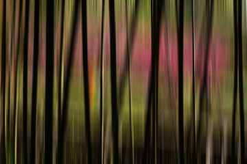 Abstract soft lines blurrred gradient on dark background with copy space. Illustration concept for graphic design, banner, poster, web, presentation or wallpaper.