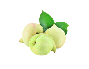 green peaches fruit isolated on  transparent png