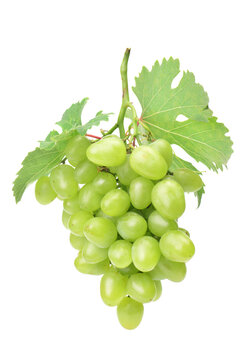 BNunch of green grapes isolated