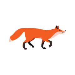Fototapeta premium Animal illustration. Walking red fox drawn in a flat style. Isolated object on a white background. Vector 10 EPS