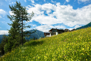 house in the mountains