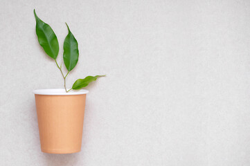 Eco friendly paper cup and green plant on gray background. Zero waste, plastic-free items. stop plastic pollution. Top view, top view, template, layout.
