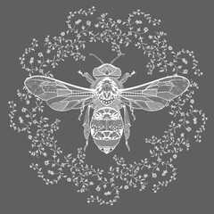bee in a floral lace frame. vector illustration