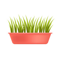 Indoor grass or plants growing in red pot 3D illustration. Cartoon drawing of green grass in flowerpot in 3D style on white background. Houseplants, nature, botany concept